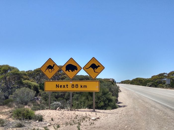 Самая длинная прямая дорога в мире, штат Западная Австралия