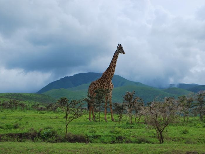 Что нужно знать перед поездкой в Танзанию