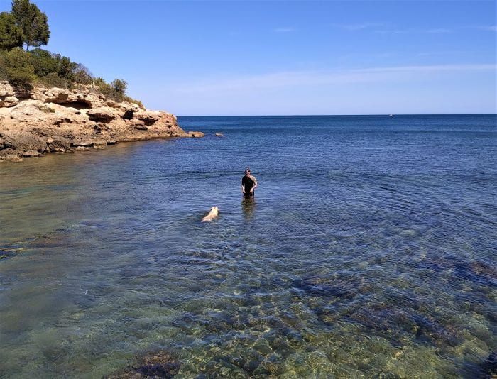 Собачий пляж в Испании