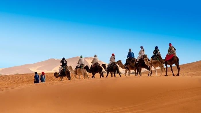 Прогулка на верблюдах по пустыне Сахара