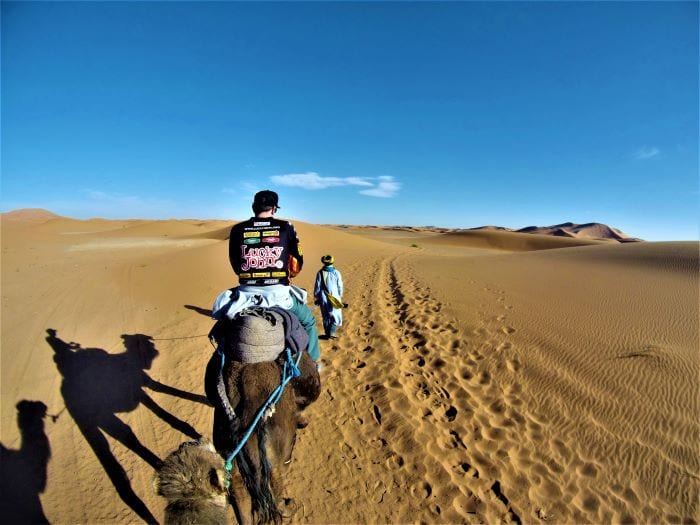 Катание на верблюдах в Марокко