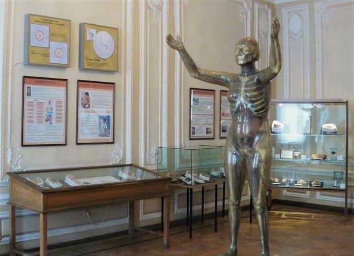 Музей гигиены СПб