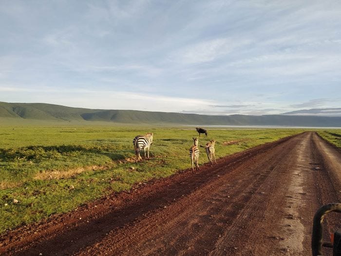 Самостоятельное сафари в Танзании