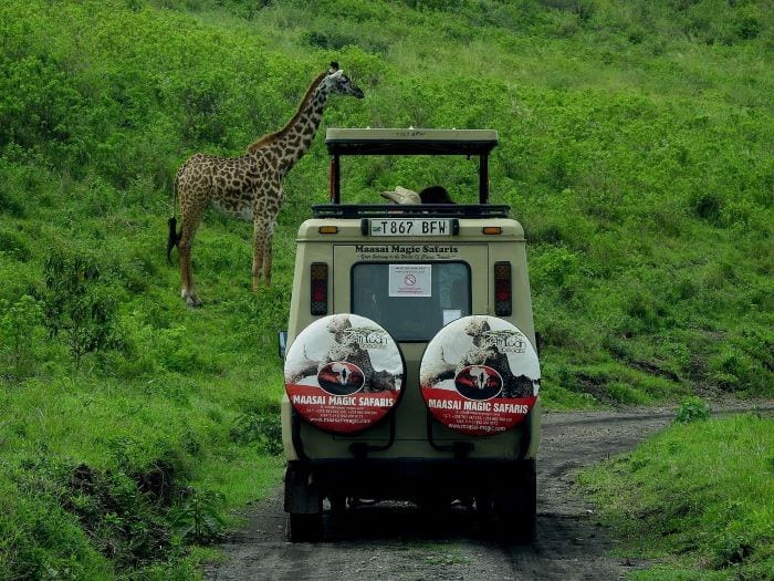 Сафари тур по Танзании