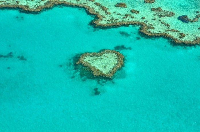 Большой Барьерный риф - достопримечательности Австралии